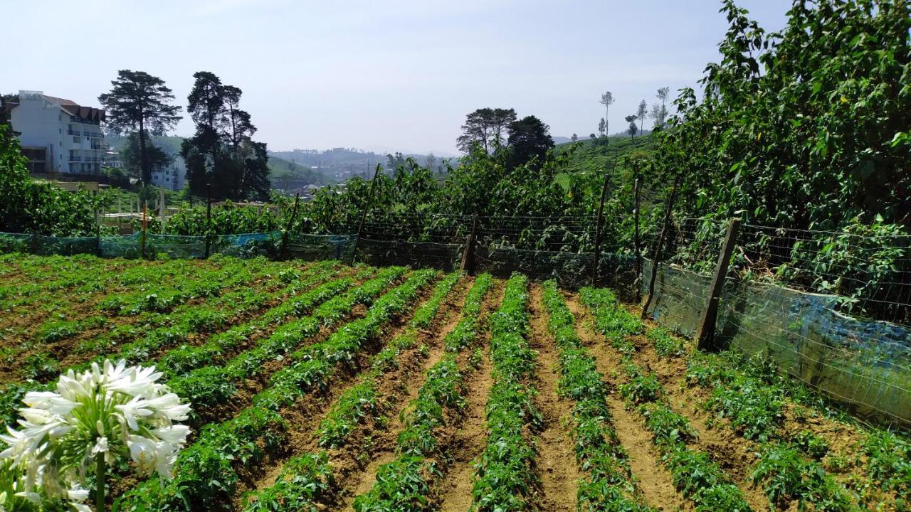 Pensjonat Shirin1892 Nuwara Eliya Zewnętrze zdjęcie